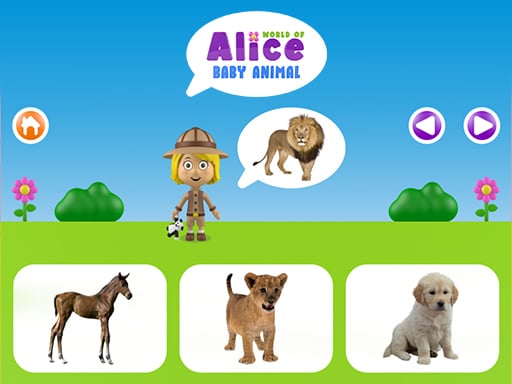 World of Alice – Baby animal